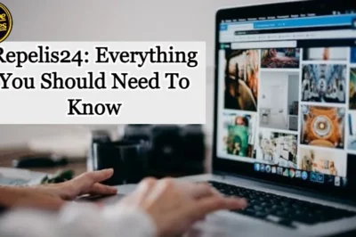 Repelis24: Everything You Should Need To Know