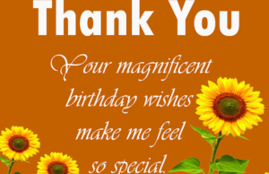 Simple and Short Thank You Messages for Birthday Wishes
