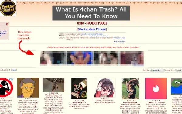 What Is 4chan Trash? All You Need To Know