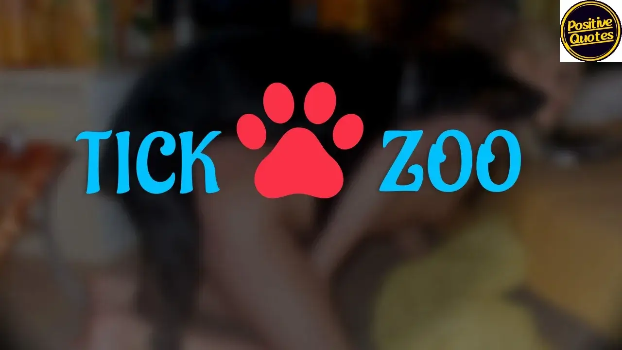 Tickzoo: All You Need To Know