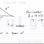 How to calculate the area and perimeter of a scalene triangle?