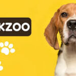 Exploring Tickzoo.com: Your Ultimate Ticket to Memorable Experiences