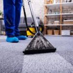 Elevate Your Home’s Air Quality with Carpet Cleaning